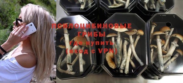 гидропоника Балахна