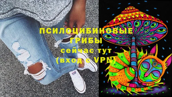 сатива Балабаново