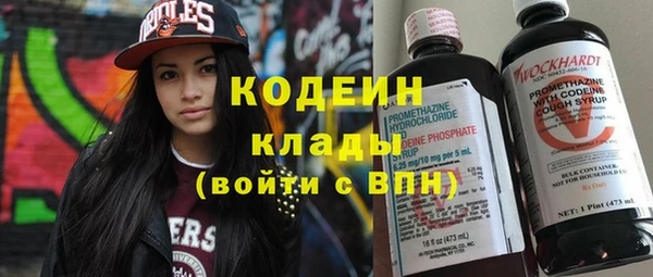 ГАЛЛЮЦИНОГЕННЫЕ ГРИБЫ Пестово