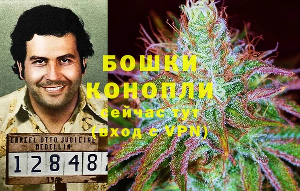 гидропоника Балахна